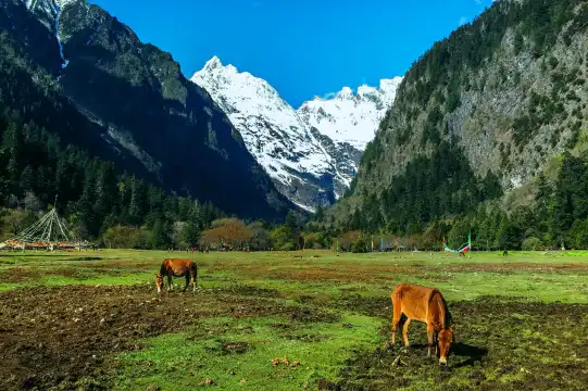 Hotels near Meili Snow Mountain National Park