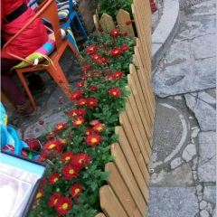 比萨小厨·花园主题餐厅 ảnh của người dùng
