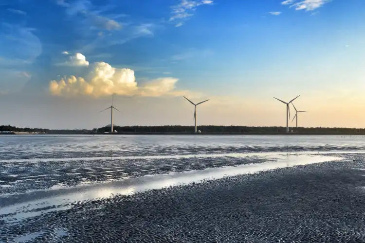 鄰近魚的世界(嶺東店)/蝦兵蟹將(嶺東一店)的酒店