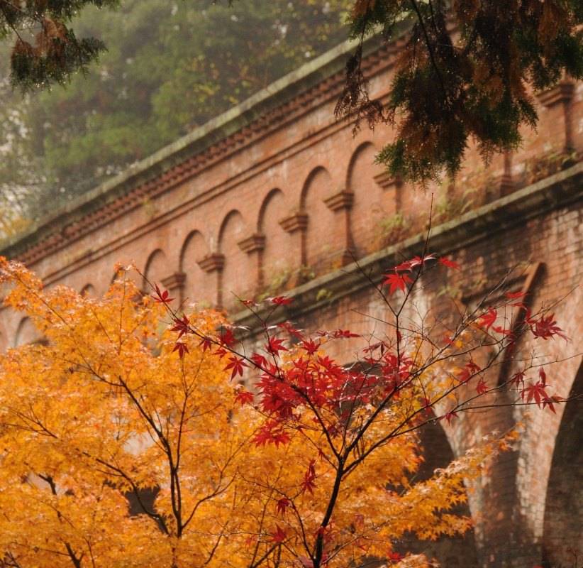 Nanzenji Temple + Ginkakuji Temple + Sanzen-in Temple + Kiyomizudera Temple + Gion one-day tour in Kyoto, Japan