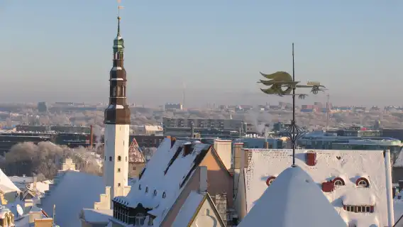 All kinds of translators, Guide , chartered private charter, photographers, business escorts, medical accompaniment, travel guides, customization