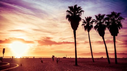 Venice Beach