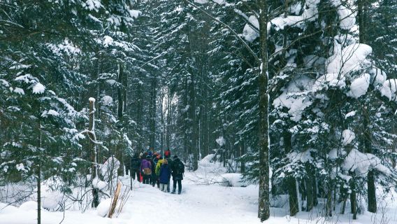 中國雪鄉+大禿頂子山一日遊【賞雪鄉夜景｜精品團】