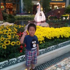 The Buffet at Bellagio 여행 사진