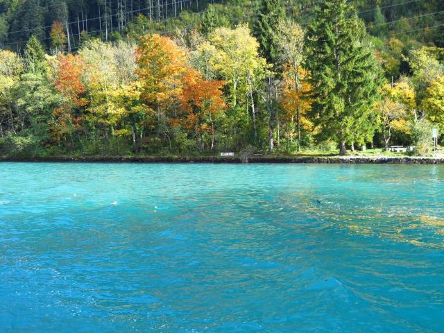 Lake Thun