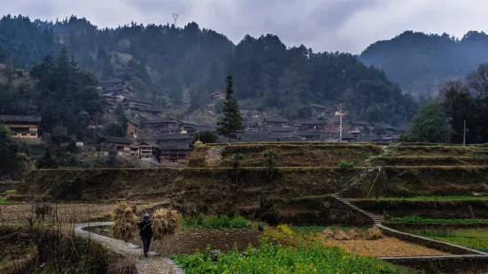 Langde Miao Village