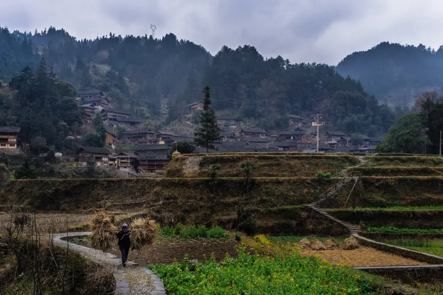 Langde Miao Village