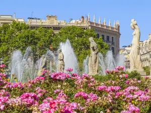 Place de Catalogne