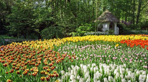 Keukenhof