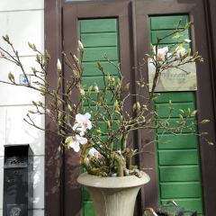 ZUR LETZTEN INSTANZ User Photo