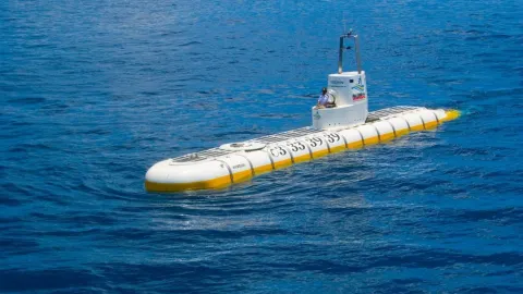 Whale Submarine attraction in Malé