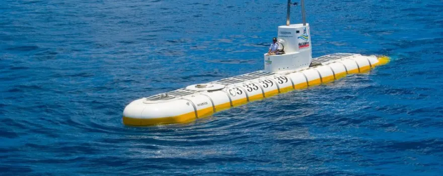 Whale Submarine