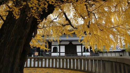 Nishi Hongan-ji Temple