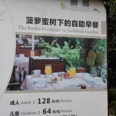 七仙岭君澜度假酒店7/5餐厅 User Photo