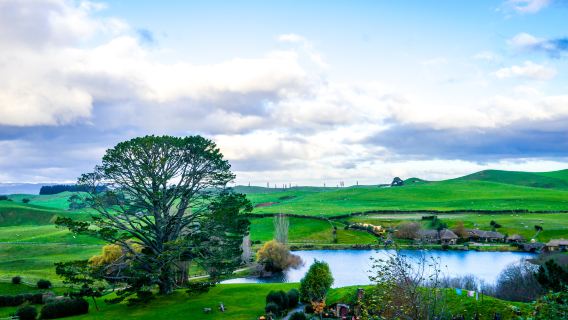 Hobbiton + Blue Spring + Port Waikato 1-day tour[Private private charter]|[Itinerary Adjustment]