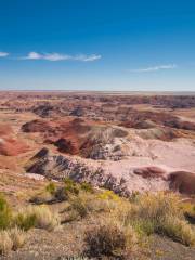 Petrified Forest National Park