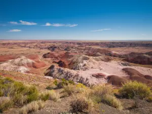 Petrified Forest National Park