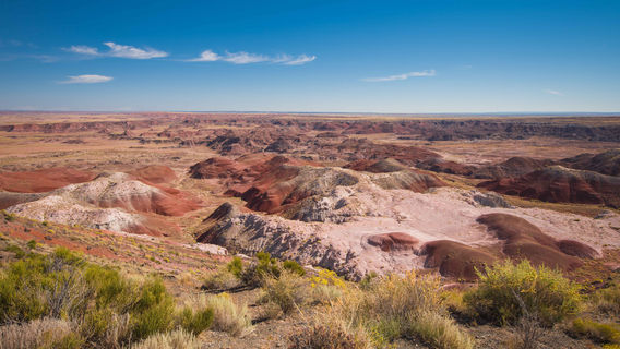 Painted Desert