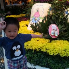 The Buffet at Bellagio 여행 사진