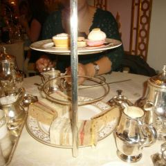 The Palm Court User Photo