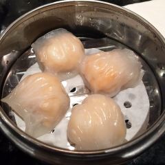 Ping Pang Pong User Photo