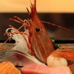 Sushi Naramoto User Photo