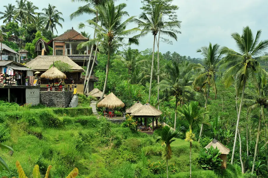 Tegalalang Rice Terrace