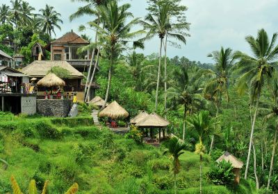 Tegalalang Rice Terrace