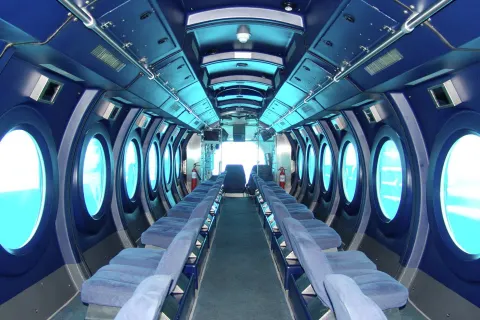 Whale Submarine