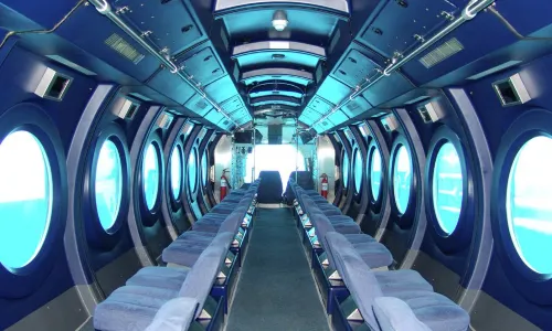 Whale Submarine