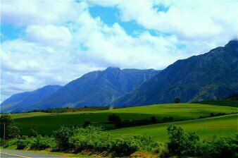 花园大道太美丽，最美的风景在路上，来南非一定要自驾这段路，终