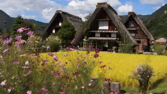 日本名古屋世界遺産白川郷+五箇山相倉合掌村・バスワンデーツアー