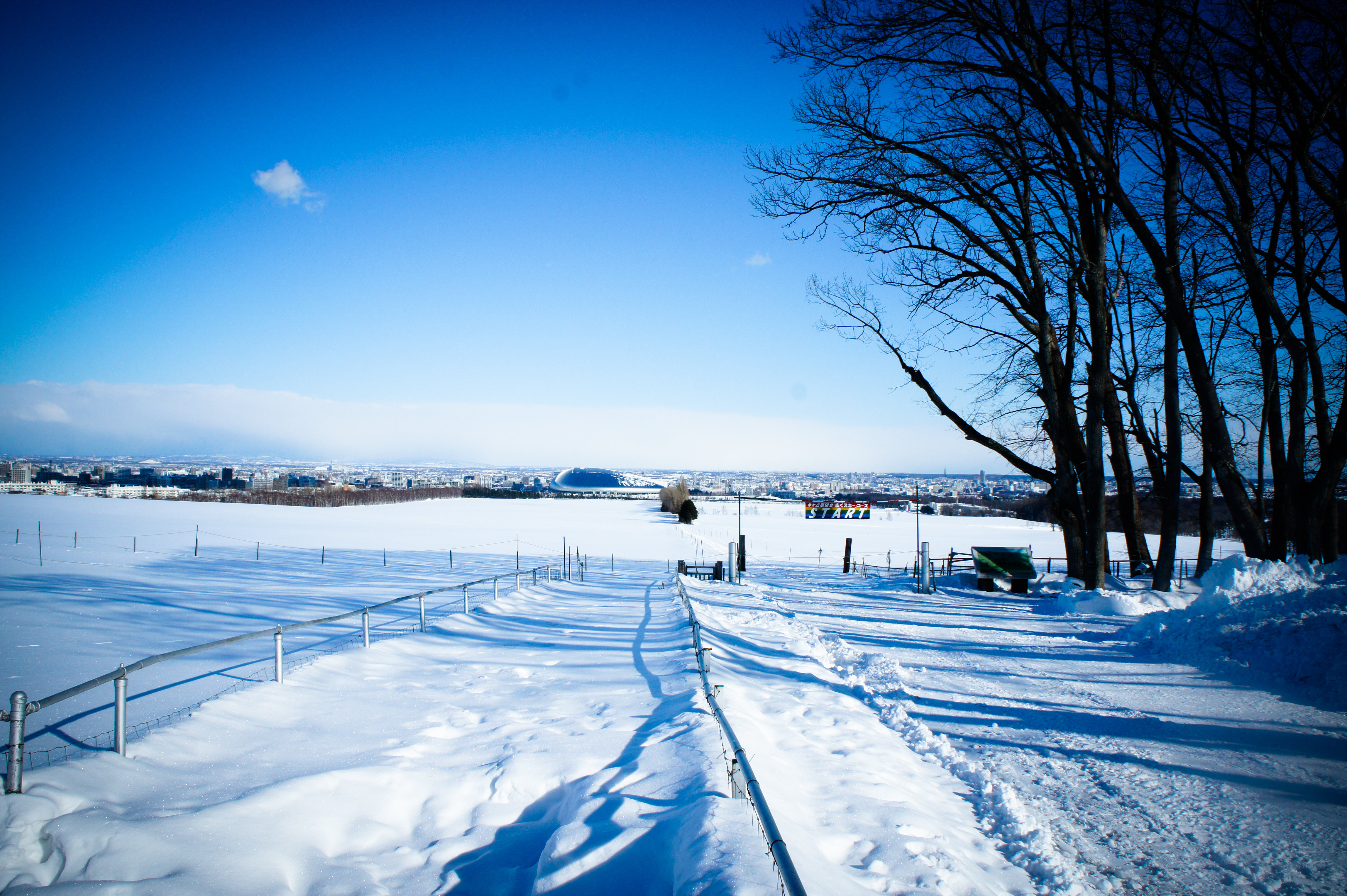 北海道 さっぽろ羊ヶ丘展望台 Eチケット 予約