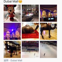 Alforno - Dubai Mall User Photo