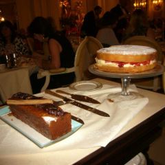 The Palm Court User Photo
