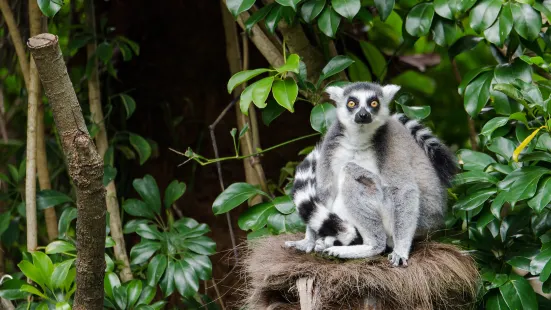 オークランド動物園