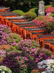 Nezu Shrine