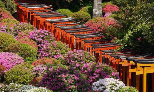 Nezu Shrine