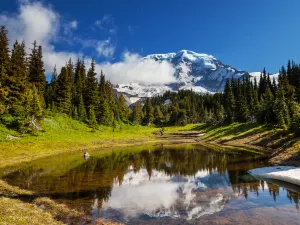 Parco nazionale del Monte Rainier