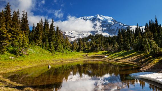 SeattleTours