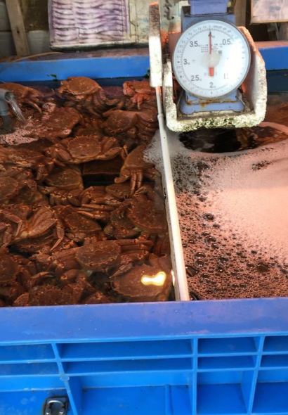 札幌螃蟹本家（札幌站前本店）