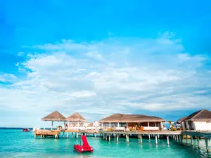 Machchafushi