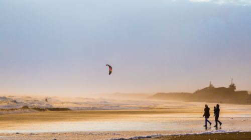 Muriwai Beach