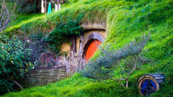 Hobbit Village + Waitomo Glowworm Caves + New Zealand one-day tour