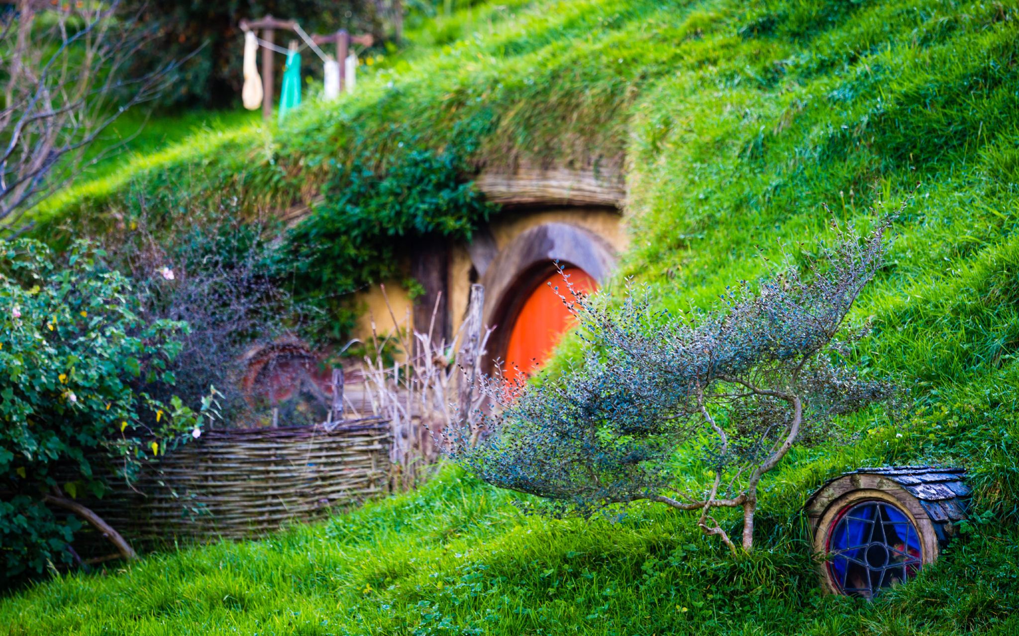 Villaggio degli Hobbit + Grotta delle Lucciole di Waitomo + Nuova Zelanda [Modifica itinerario]