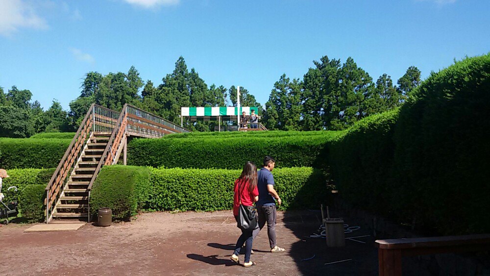 金寧迷宮公園景點評價 金寧迷宮公園門票 金寧迷宮公園優惠 金寧迷宮公園交通 地址 開放時間 金寧迷宮公園附近景點 酒店及美食 Trip Com
