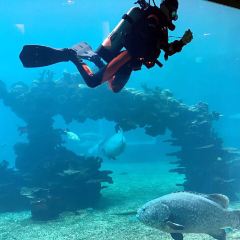 Aqua - Aquarium Restaurant User Photo