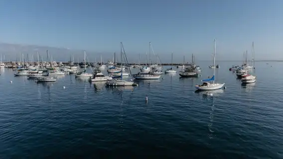 史丹佛大學+矽谷+漁人碼頭+九曲花街+金門大橋一日遊（包車）