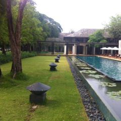 BODHI TERRACE User Photo