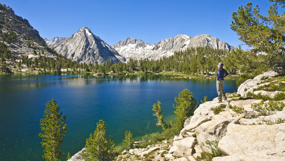 Sequoia & Kings Canyon National Parks
